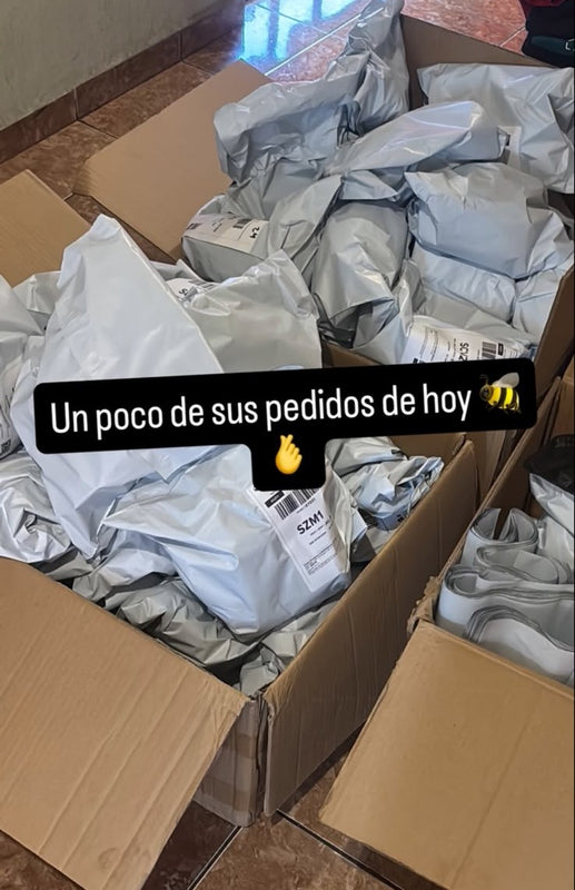 Pedidos del día